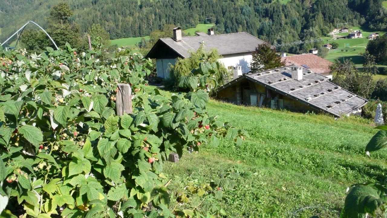 Obergereuth Hof 1288 Apartment San Martino In Passiria  Екстериор снимка