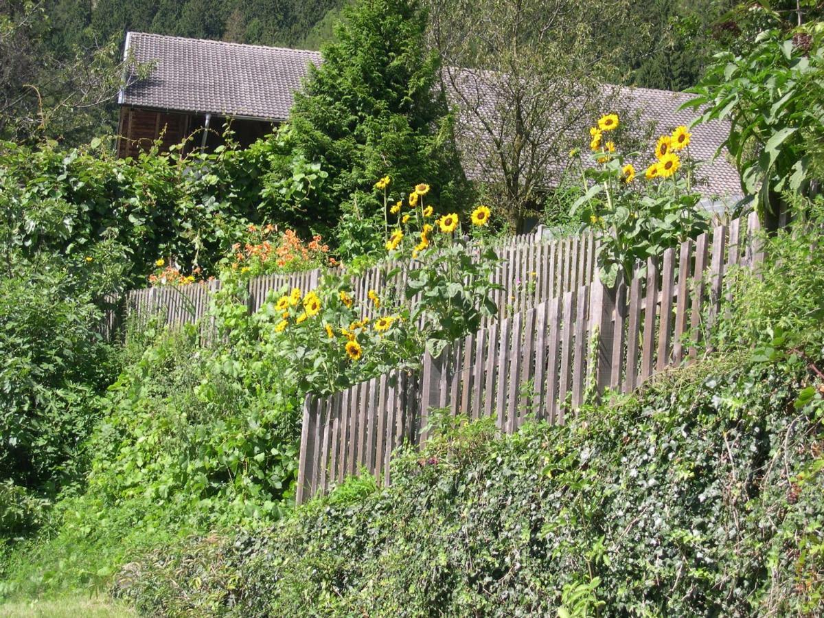 Obergereuth Hof 1288 Apartment San Martino In Passiria  Екстериор снимка