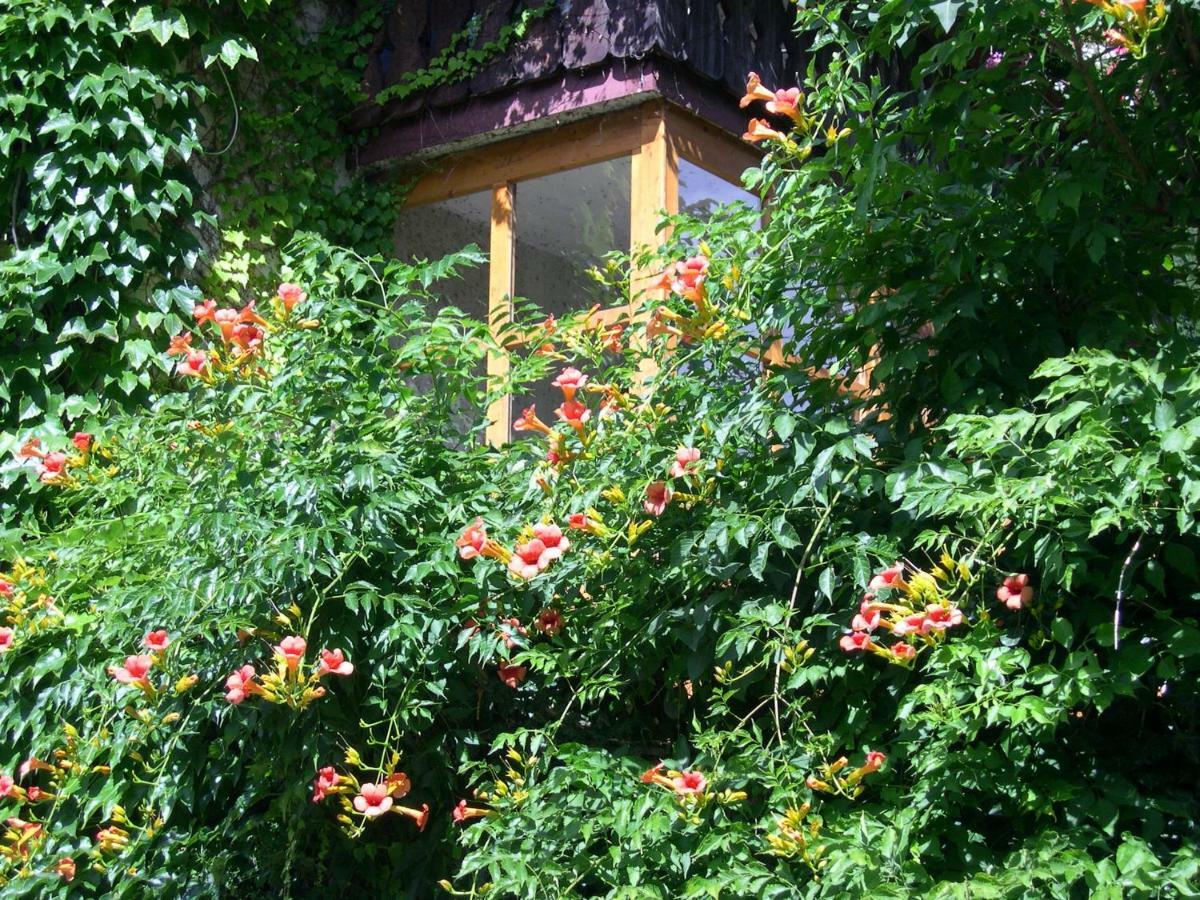 Obergereuth Hof 1288 Apartment San Martino In Passiria  Екстериор снимка